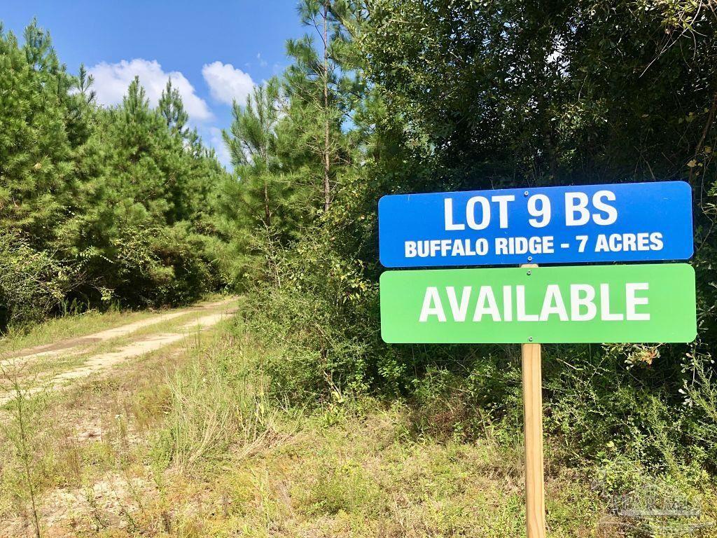 Lot 9-bs Buffalo Ridge Road Pace, FL 32571 - Photo 2 of 16