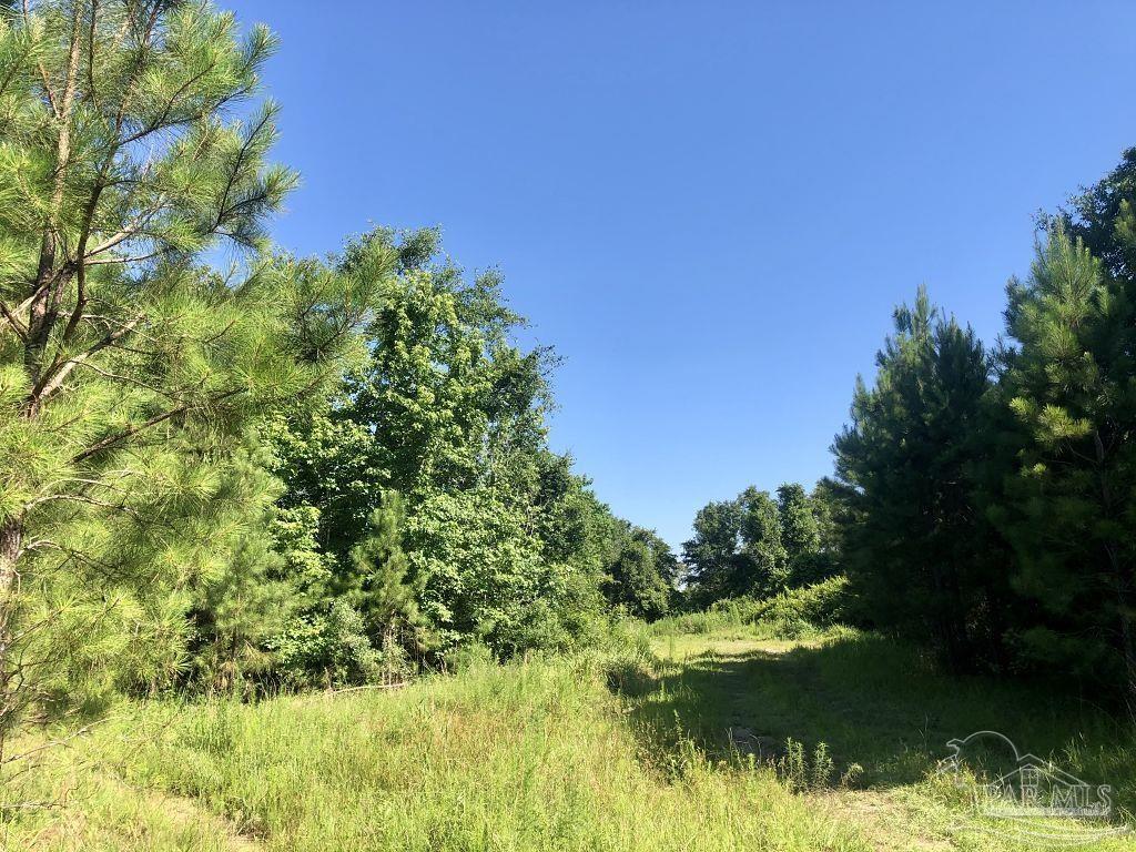 Lot 9-bs Buffalo Ridge Road Pace, FL 32571 - Photo 4 of 16