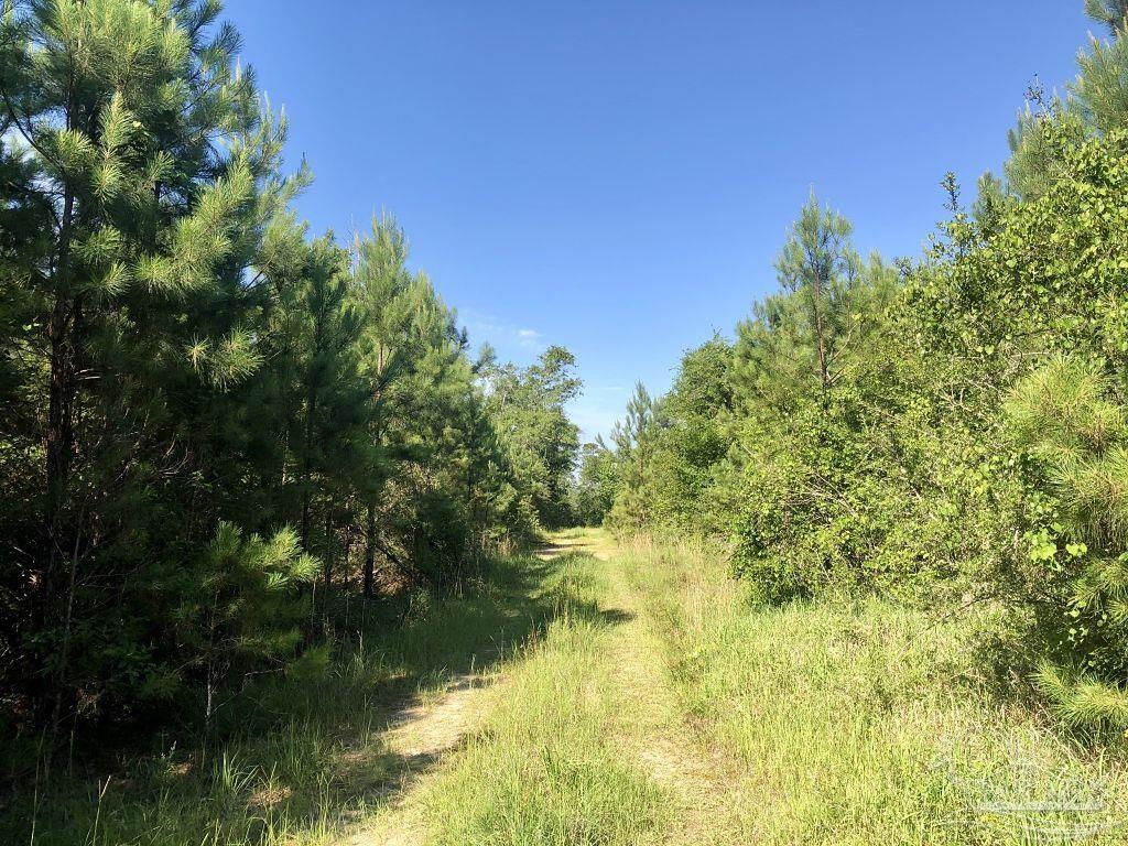 Lot 9-bs Buffalo Ridge Road Pace, FL 32571 - Photo 5 of 16
