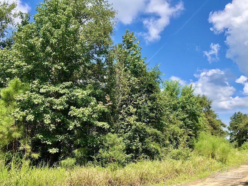 Lot 9-bs Buffalo Ridge Road Pace, FL 32571 - Photo 6 of 16
