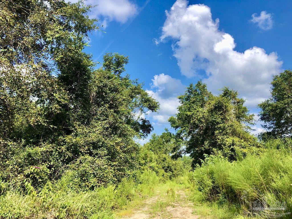 Lot 9-bs Buffalo Ridge Road Pace, FL 32571 - Photo 7 of 16