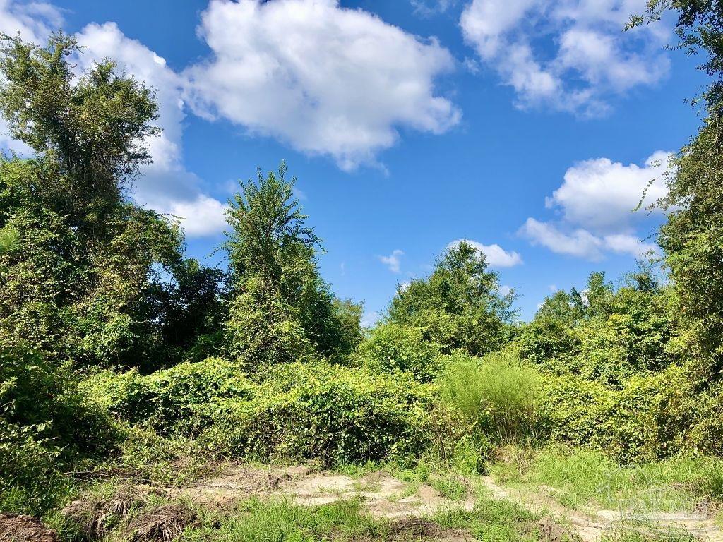 Lot 9-bs Buffalo Ridge Road Pace, FL 32571 - Photo 8 of 16