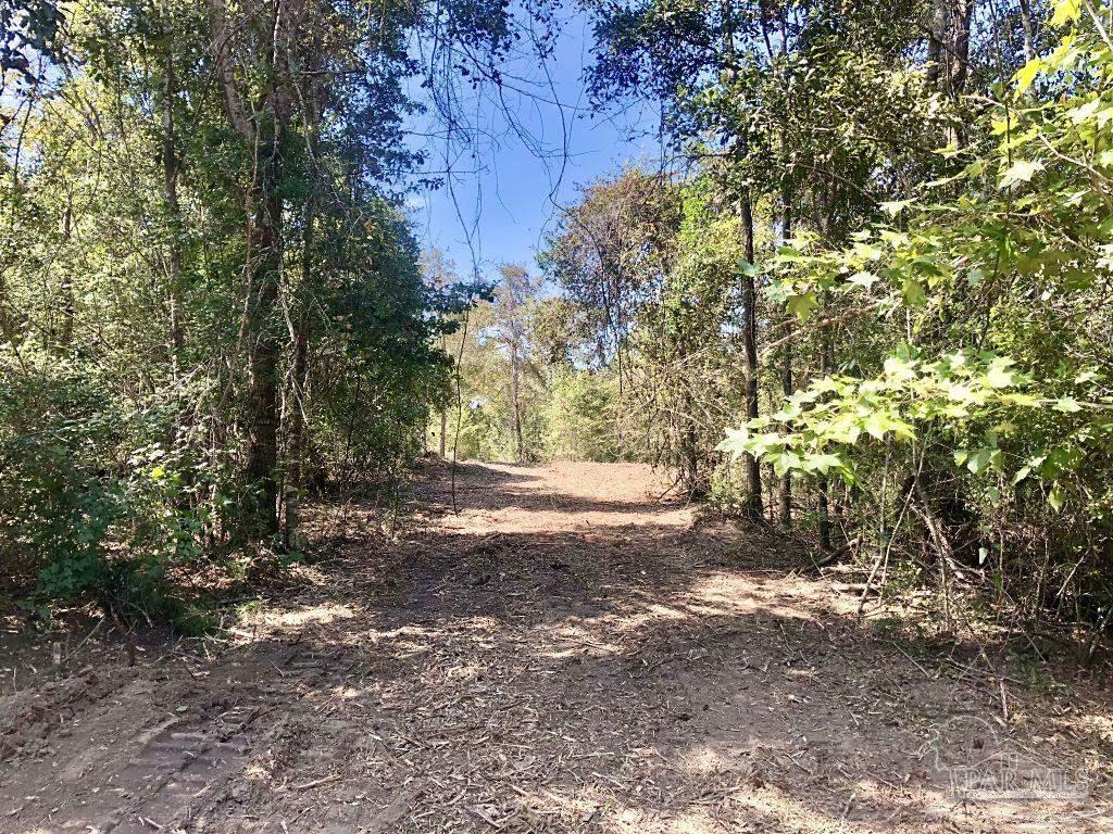 Lot 9-bs Buffalo Ridge Road Pace, FL 32571 - Photo 9 of 16