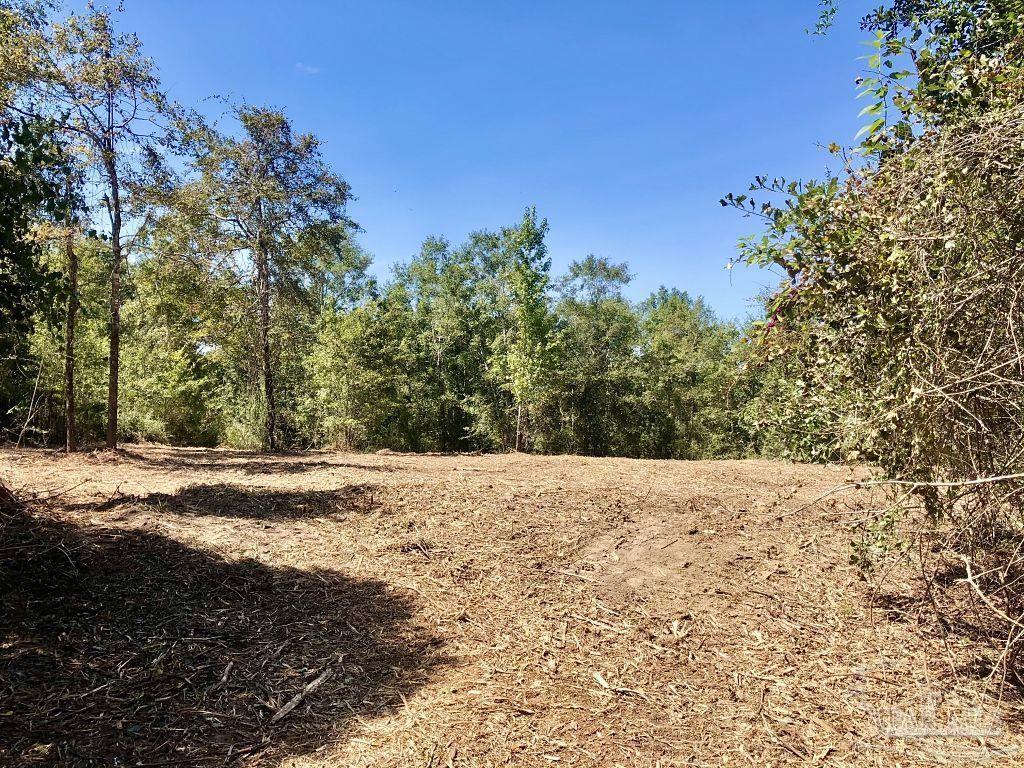 Lot 9-bs Buffalo Ridge Road Pace, FL 32571 - Photo 10 of 16