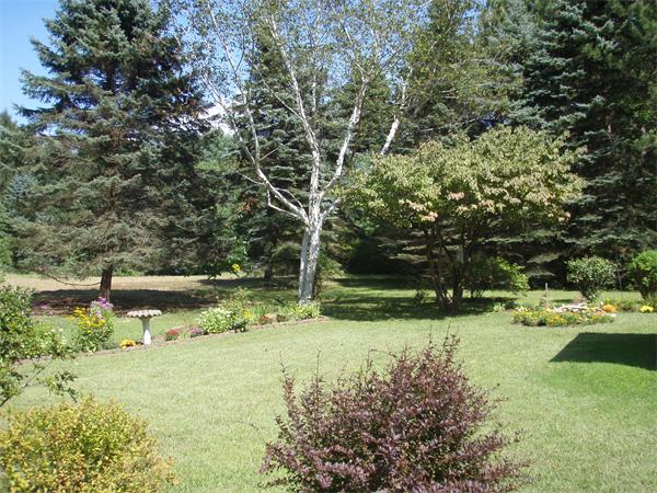 85 Oxbow Road Wayland, MA 01778 - Photo 7 of 8 a view of backyard with green space
