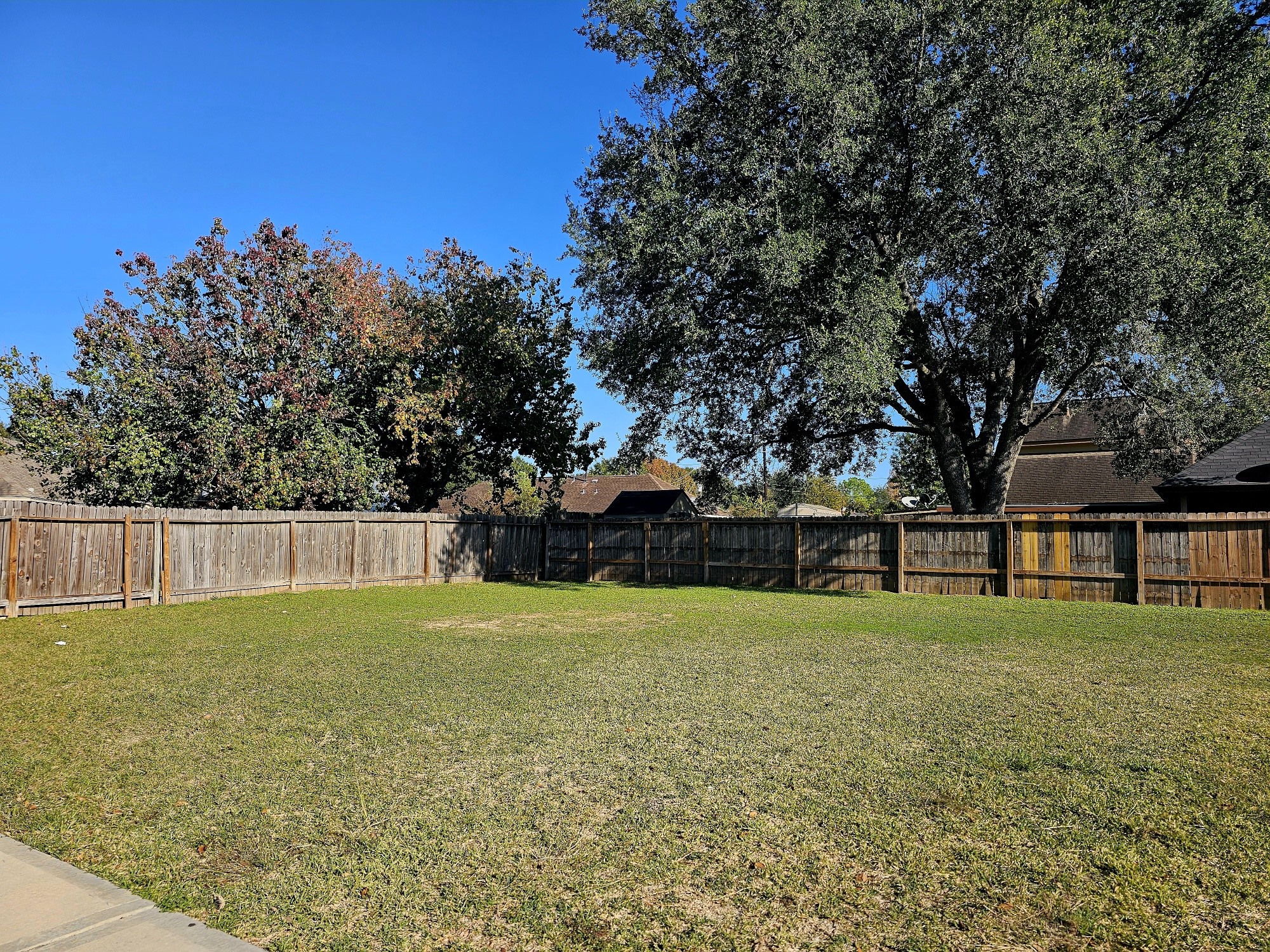 5201 Hampton Court Rosenberg, TX 77471 - Photo 2 of 6 a view of yard with swimming pool and trees