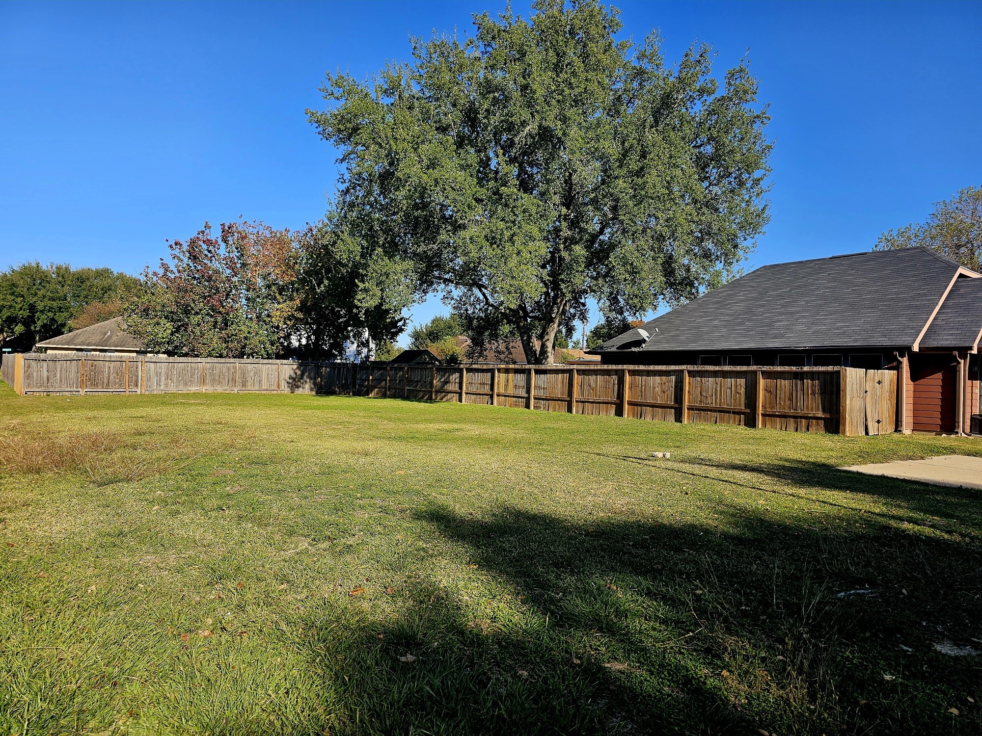 5201 Hampton Court Rosenberg, TX 77471 - Photo 3 of 6 a view of swimming pool and tree in the background