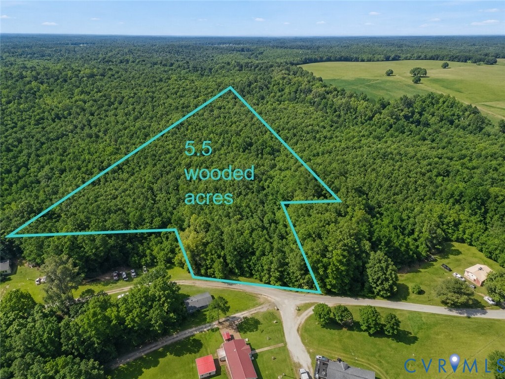 0 Dillard Road Lawrenceville, VA 23868 - Photo 3 of 6 Expansive 5.5-acre wooded parcel featuring dense m