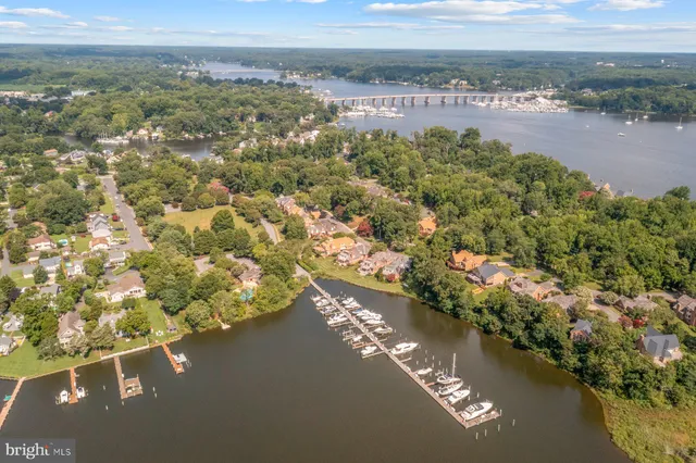 a picture of a black and white photo