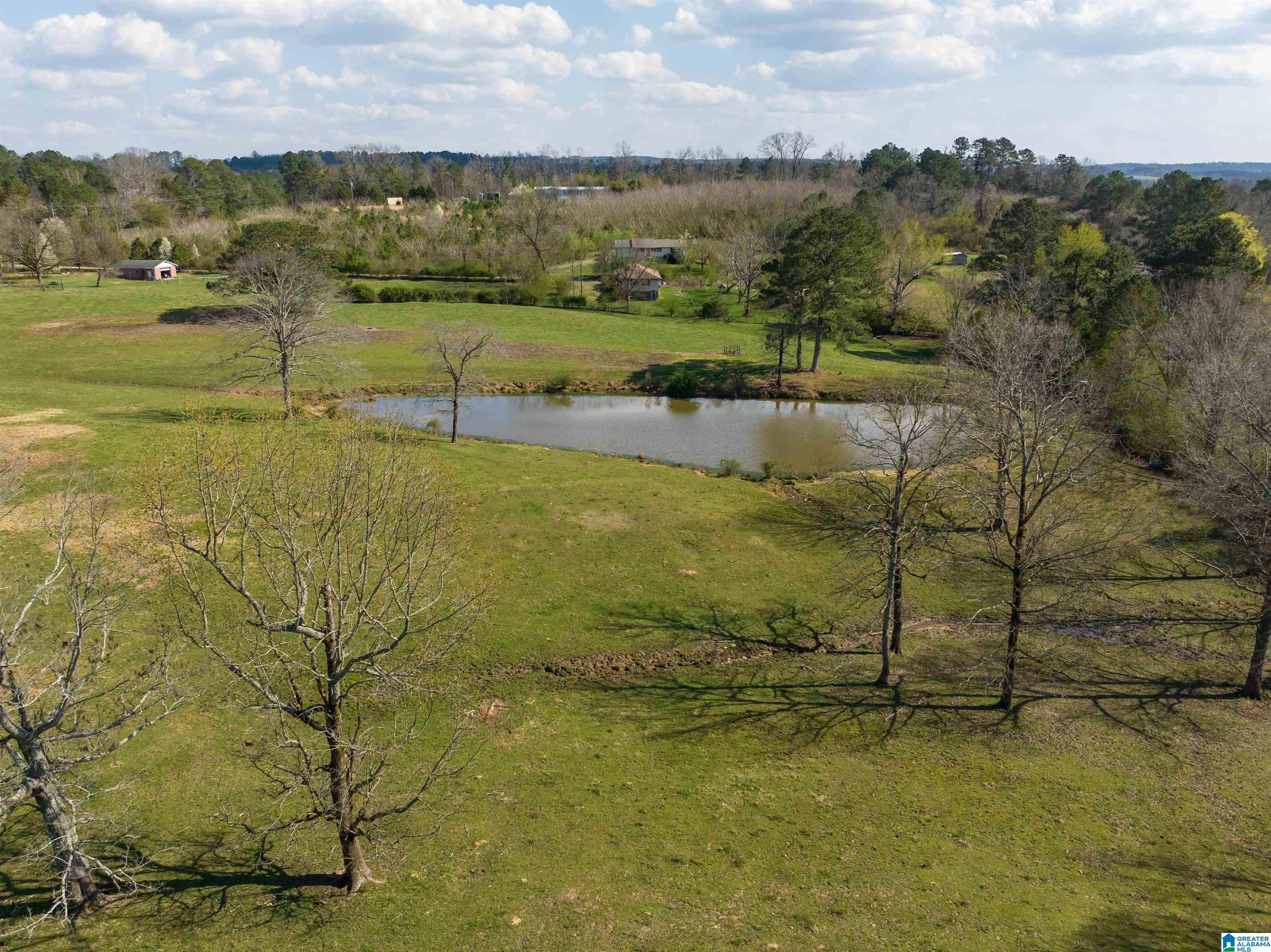 401 Lakeshore Lane Oneonta, AL 35121 - Photo 17 of 24