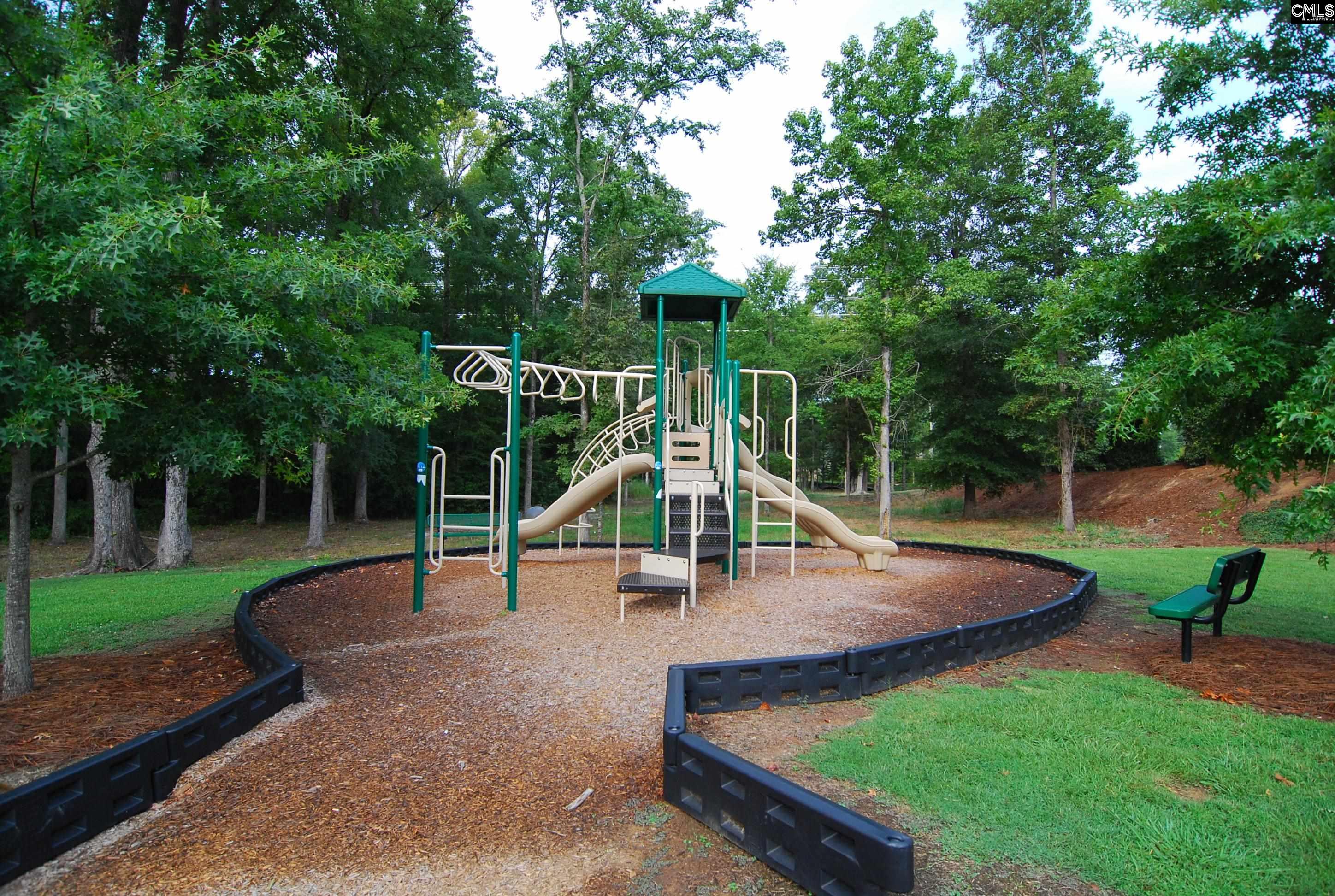 409 Crawley Lane Chapin, SC 29036 - Photo 48 of 50