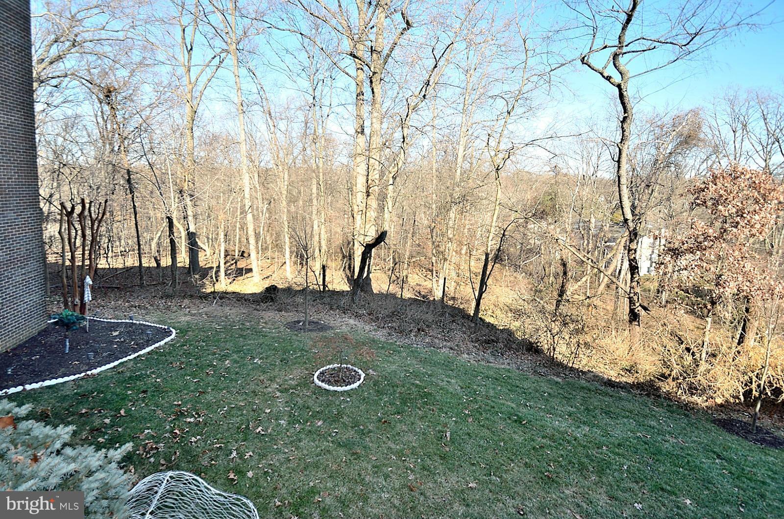 5033 7th Road South, Unit 101 Arlington, VA 22204 - Photo 12 of 13 a view of outdoor space
