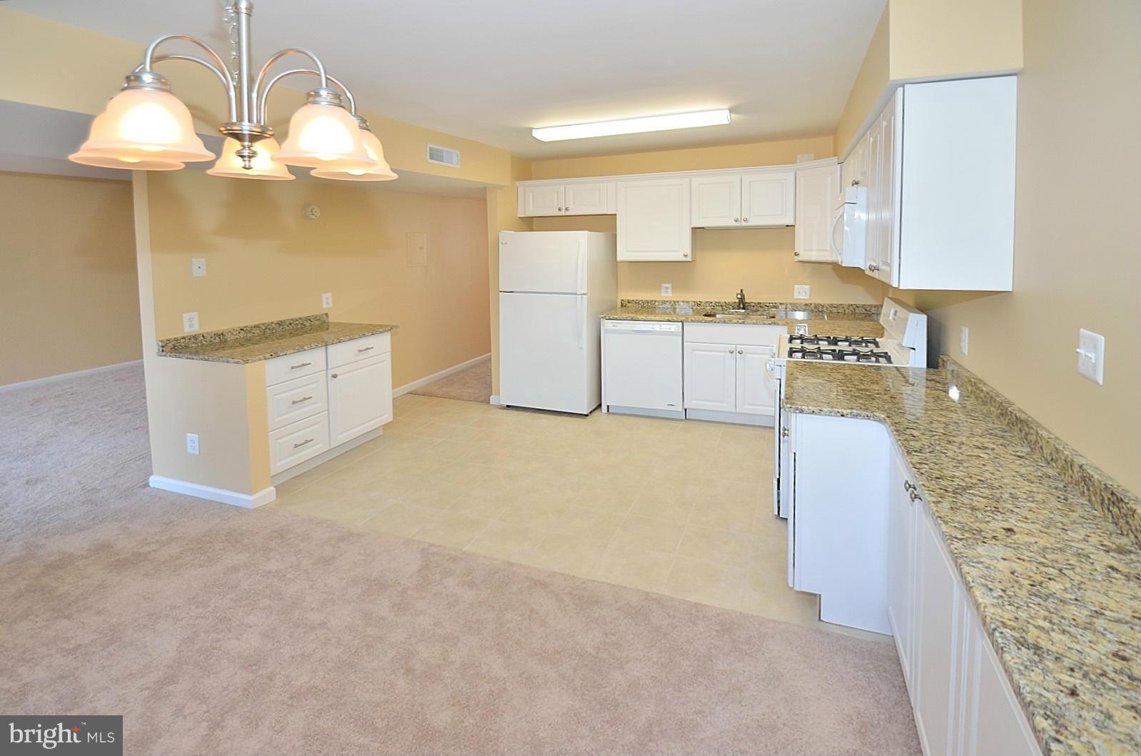 5033 7th Road South, Unit 101 Arlington, VA 22204 - Photo 4 of 13 a kitchen with a sink cabinets and window