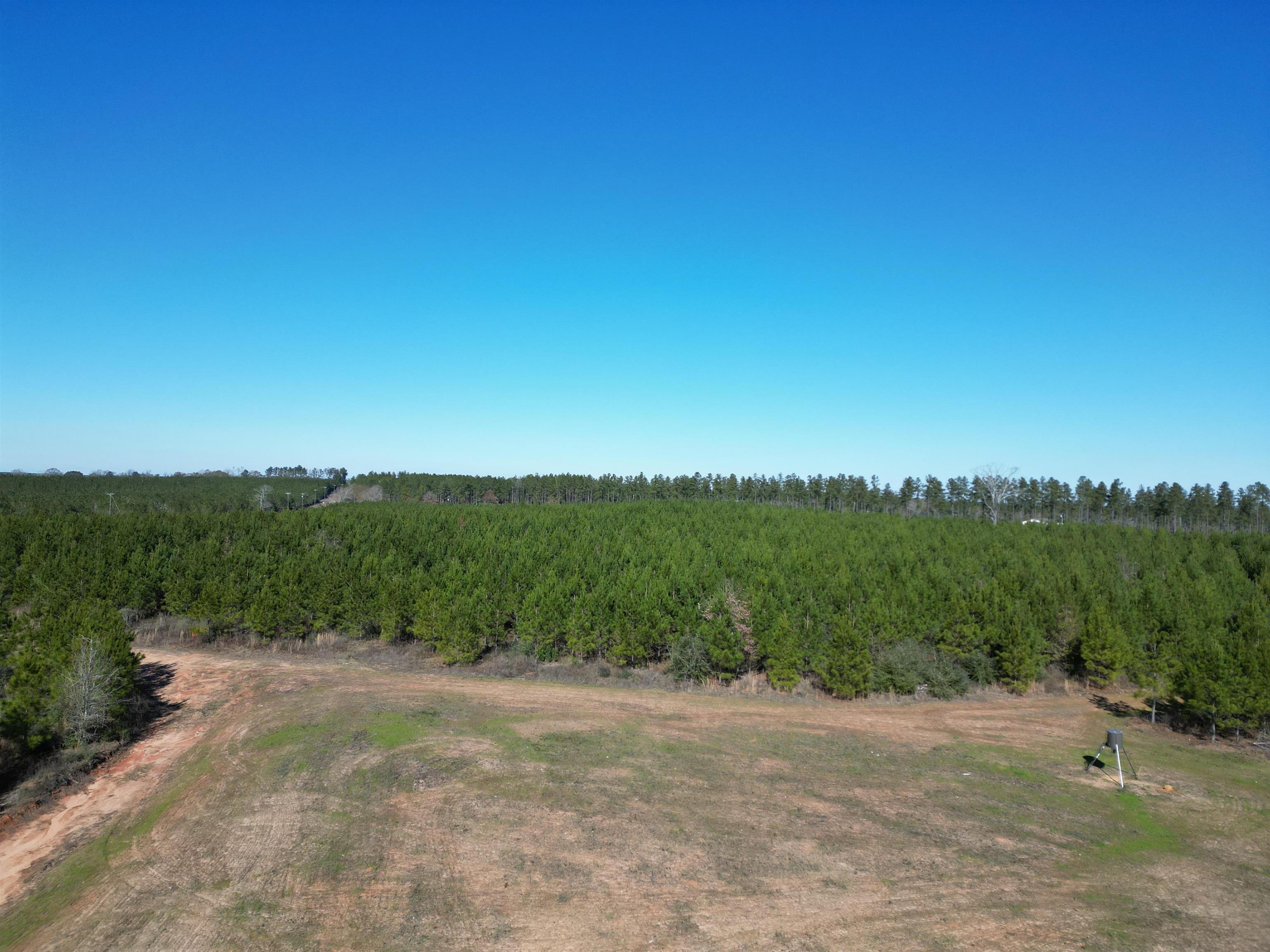Lot 5 Robinsonville Road Atmore, AL 36502 - Photo 7 of 18