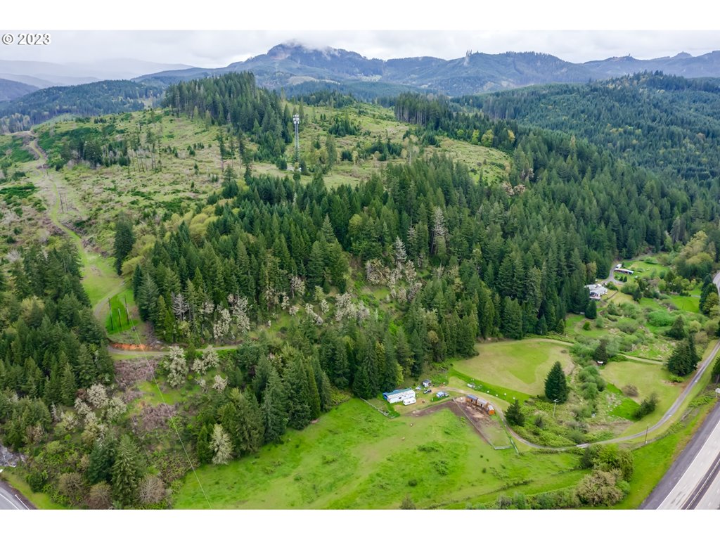 924 Buck Creek Road Drain, OR 97435 - Photo 1 of 22 a view of a lush green hillside and a houses