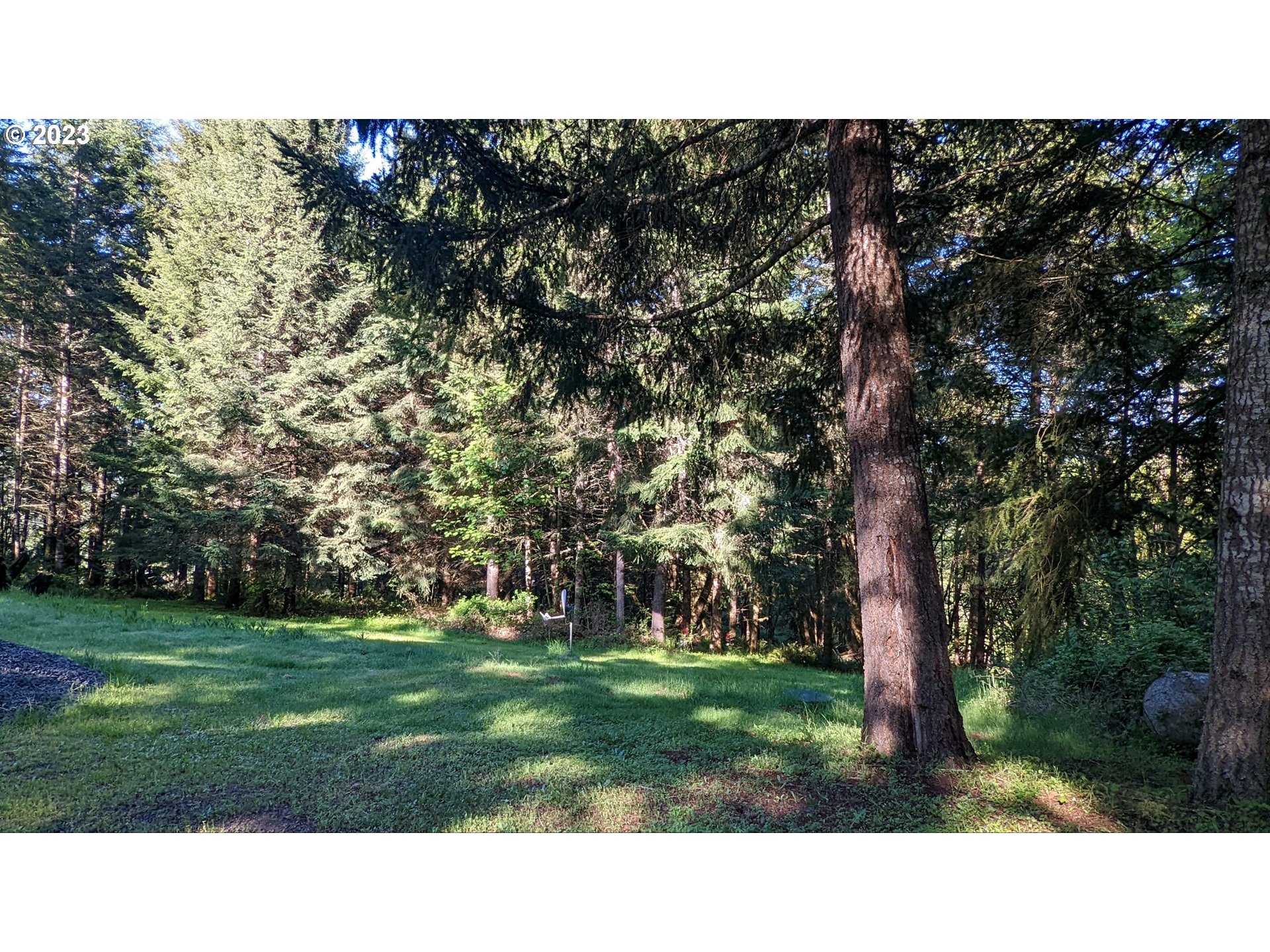 924 Buck Creek Road Drain, OR 97435 - Photo 15 of 22 a open area with grassy field