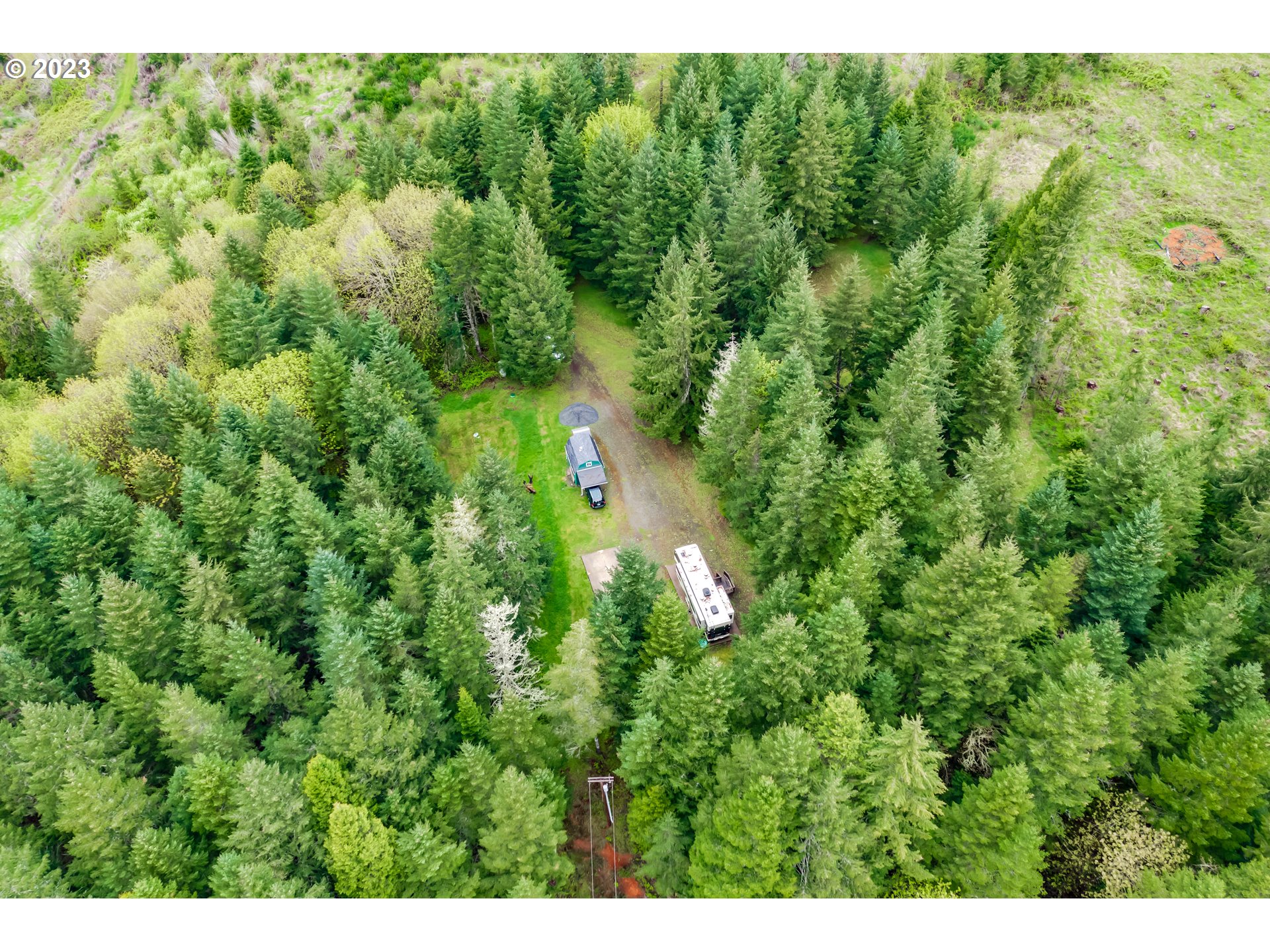 924 Buck Creek Road Drain, OR 97435 - Photo 3 of 22 a view of a lush green forest with a street