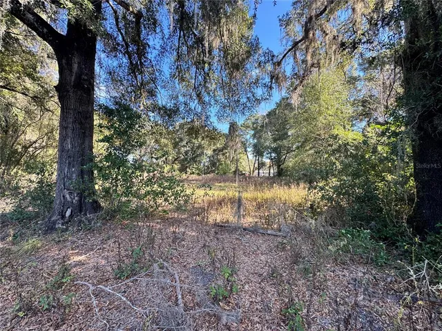 a view of a yard with a tree