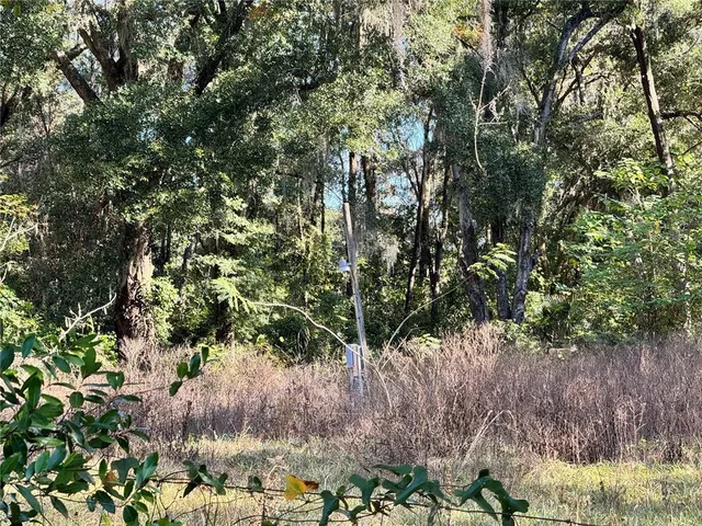 a view of a yard with a tree