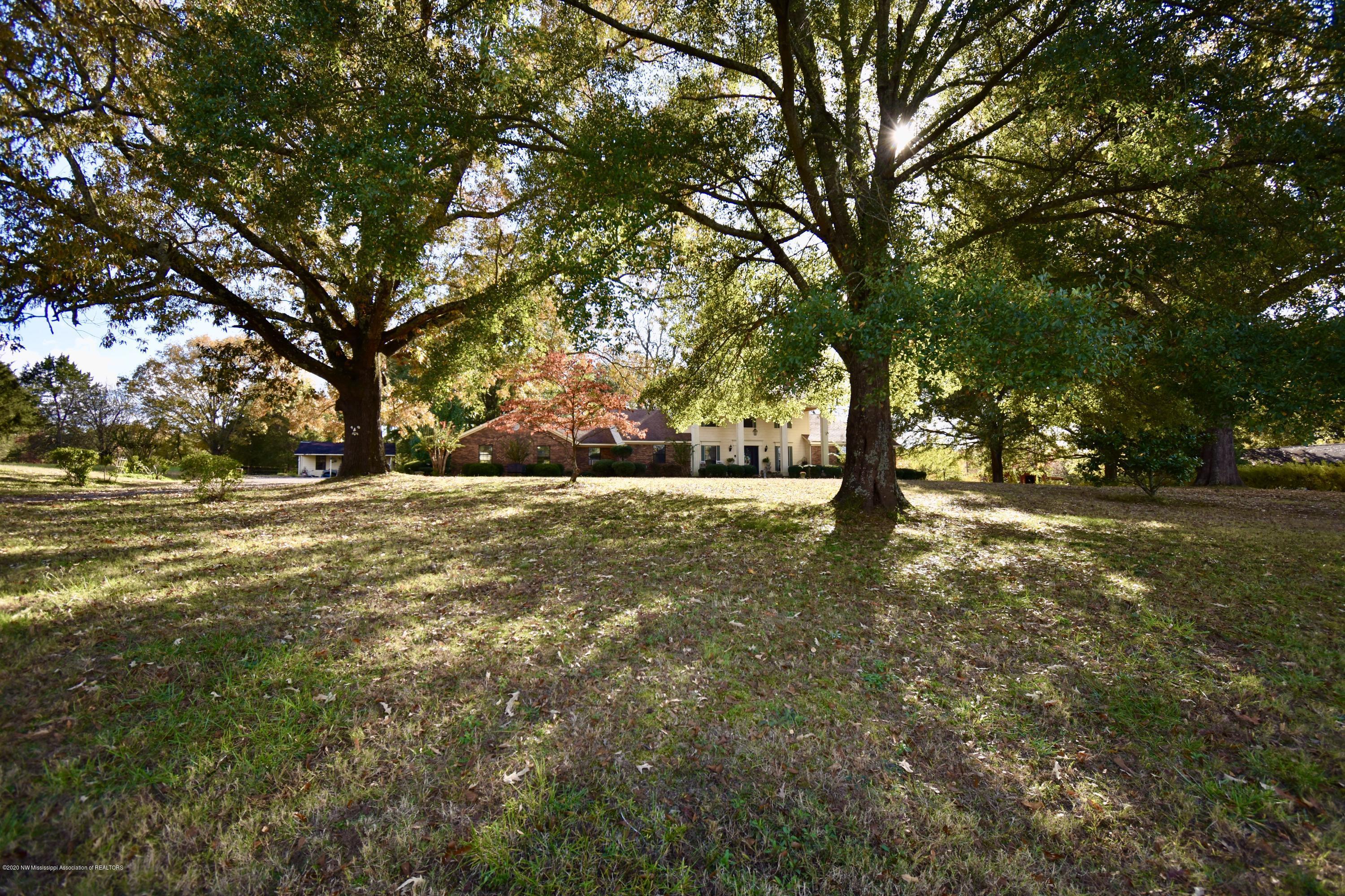 367 Mt Pleasant Road Red Banks, MS 38661 - Photo 17 of 24 mature trees