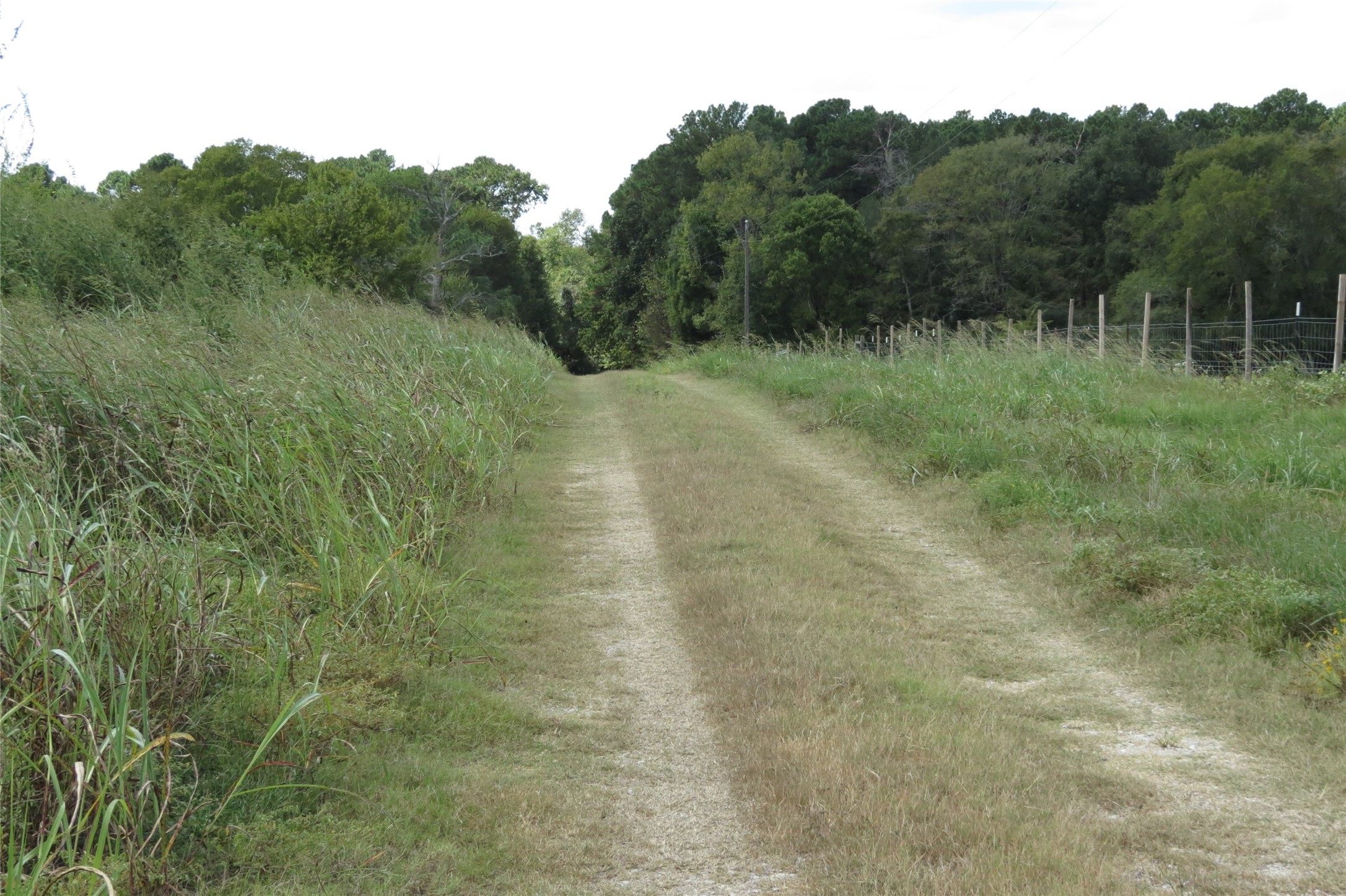 10.24-acres 10.24-acres Townley Ranch Road Huntsville, TX 77320 - Photo 13 of 21 a view of a lush green forest with a lake
