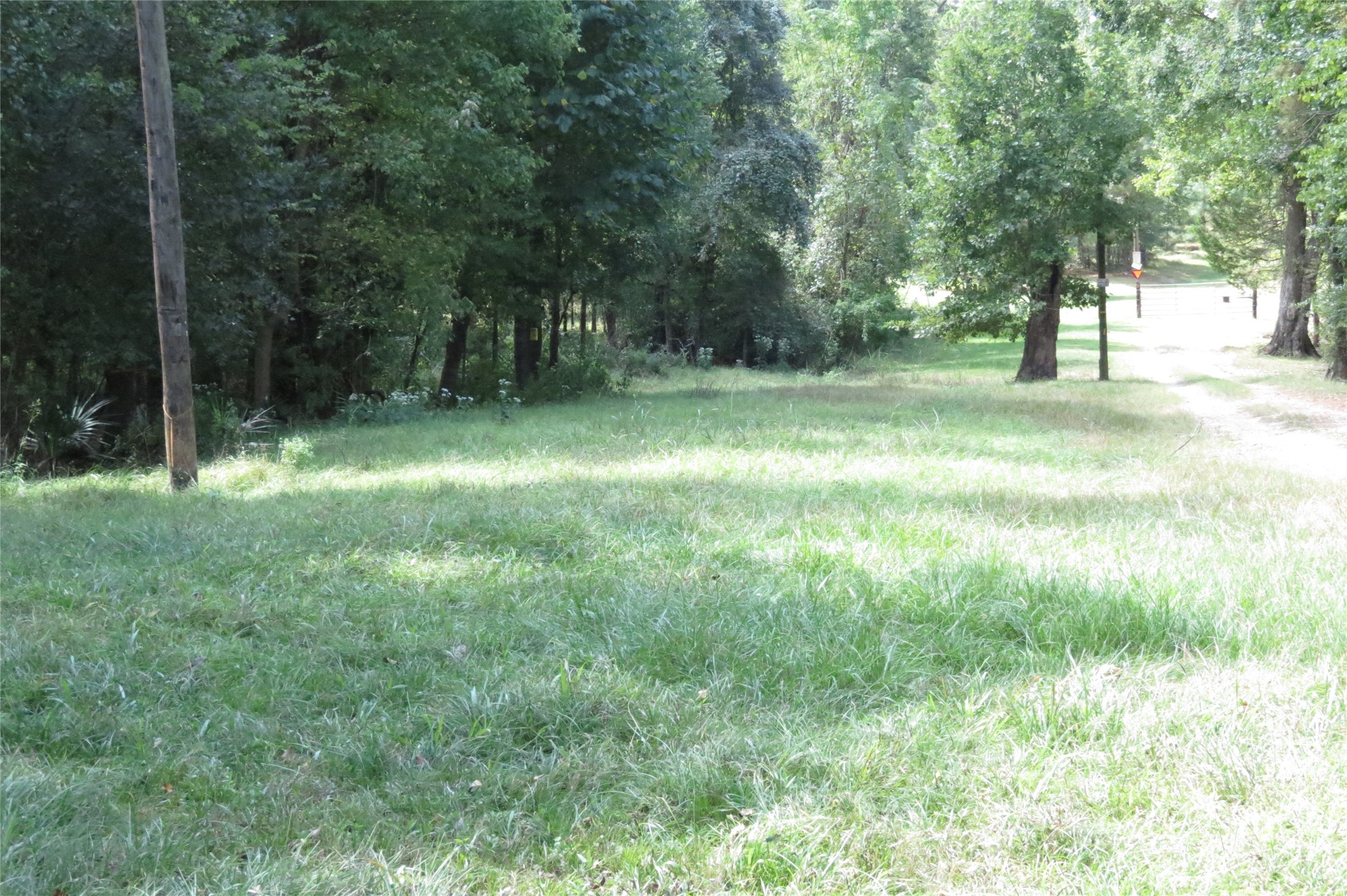 10.24-acres 10.24-acres Townley Ranch Road Huntsville, TX 77320 - Photo 17 of 21 a fire hydrant in middle of the forest