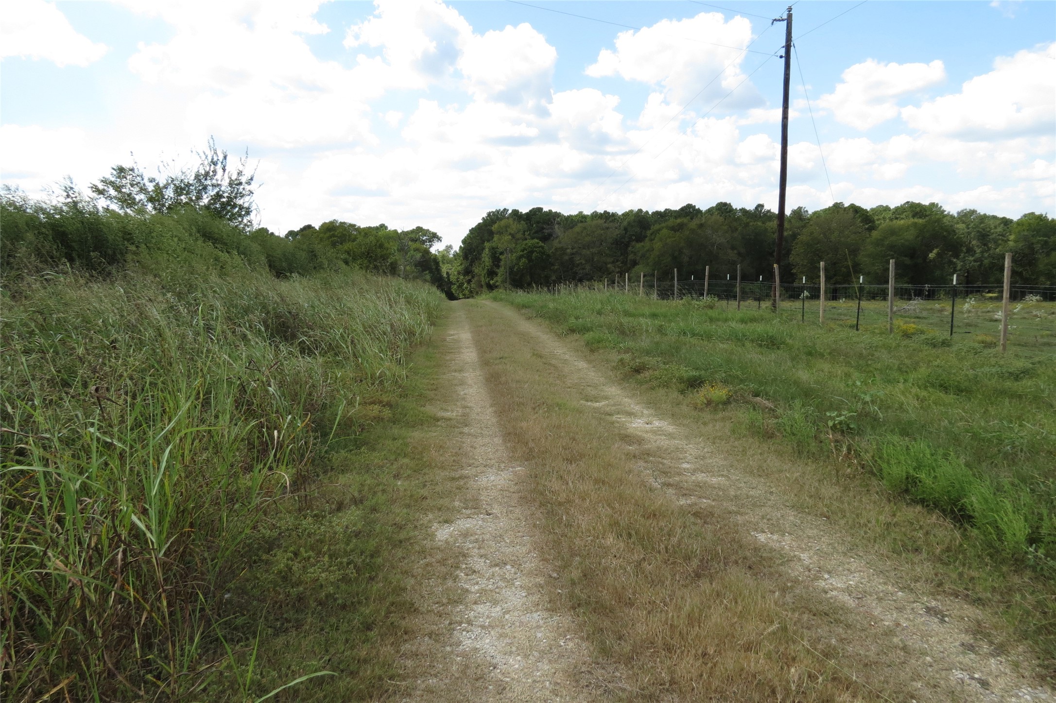 10.24-acres 10.24-acres Townley Ranch Road Huntsville, TX 77320 - Photo 2 of 21 a view of a green filed with mountains in the background