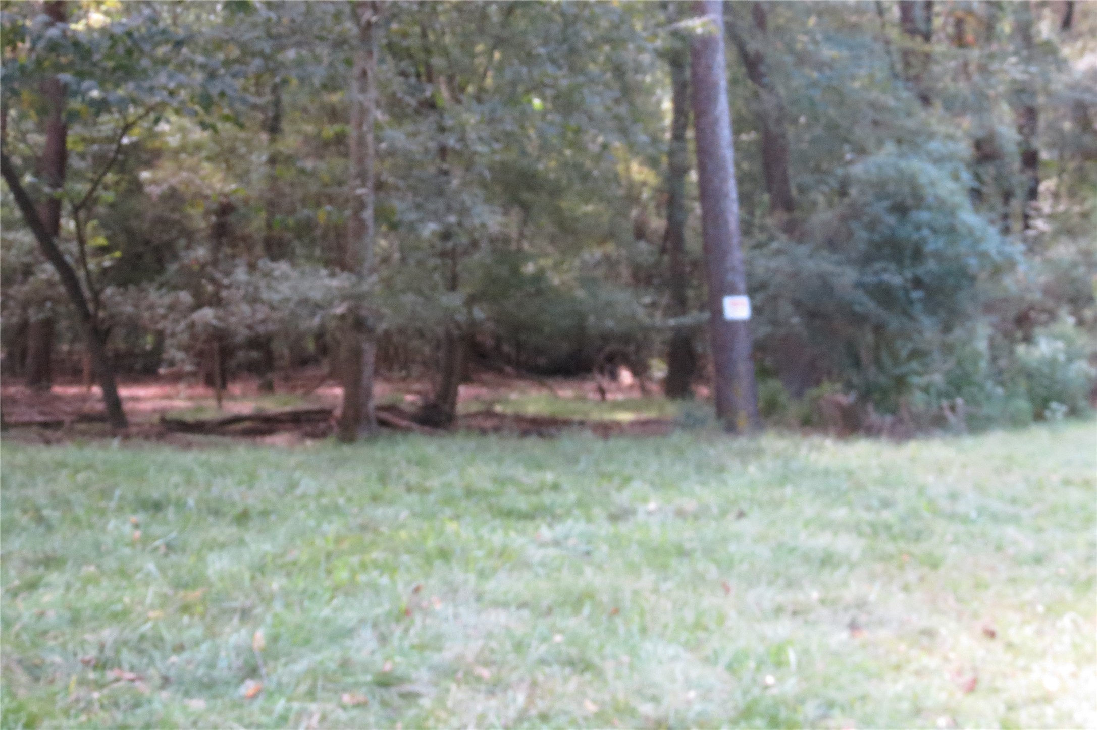 10.24-acres 10.24-acres Townley Ranch Road Huntsville, TX 77320 - Photo 4 of 21 a backyard of a house with lots of green space