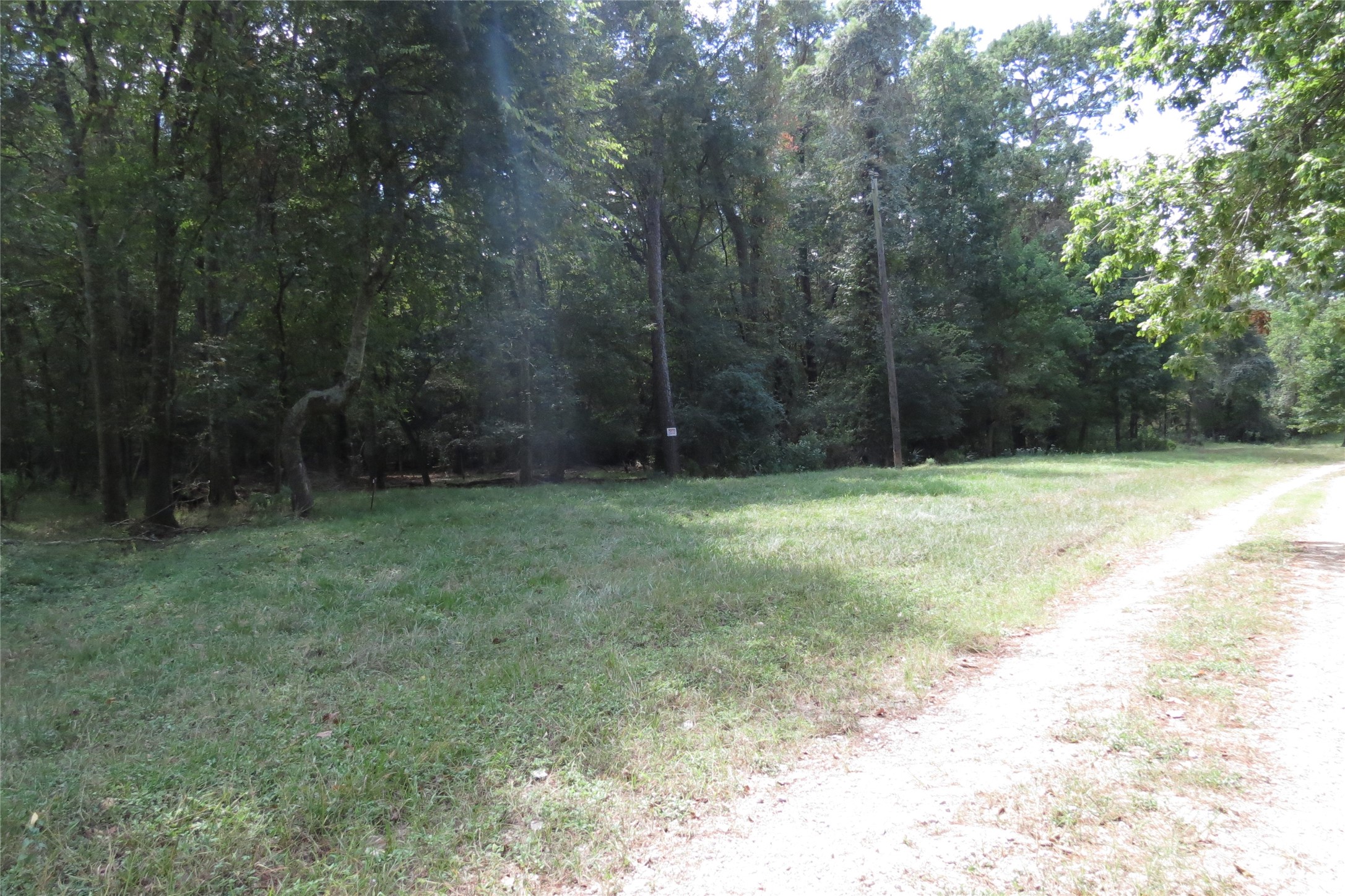 10.24-acres 10.24-acres Townley Ranch Road Huntsville, TX 77320 - Photo 5 of 21 a view of basketball court