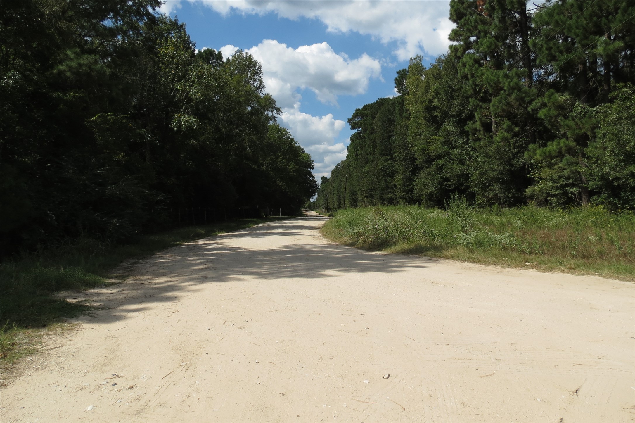 10.24-acres 10.24-acres Townley Ranch Road Huntsville, TX 77320 - Photo 6 of 21 a view of a yard