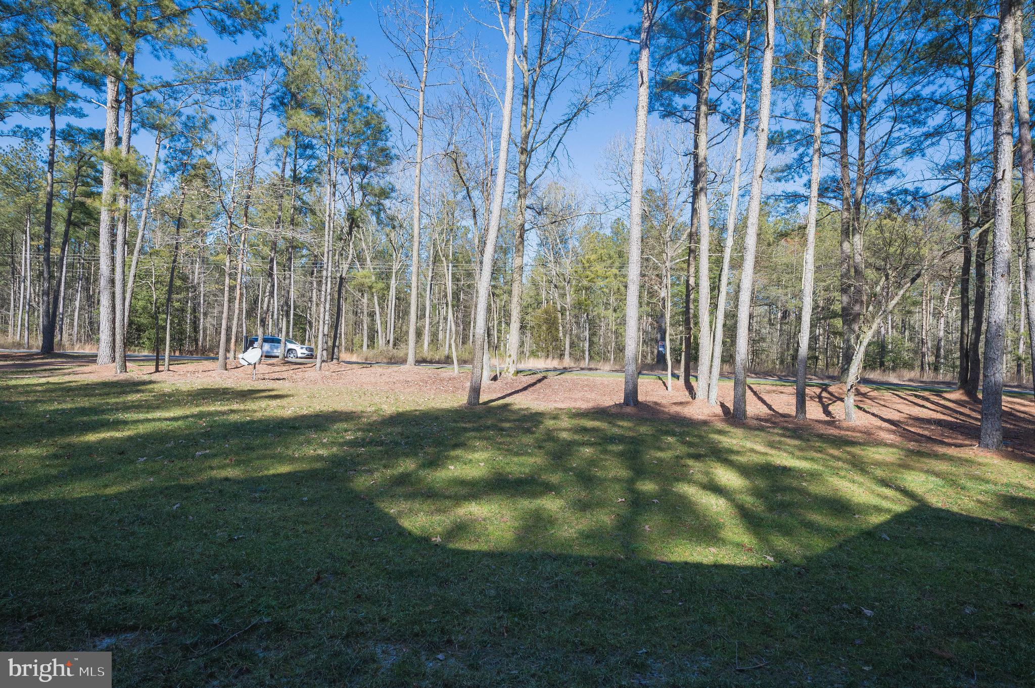 7151 Meadow Bridge Road Princess Anne, MD 21853 - Photo 3 of 42