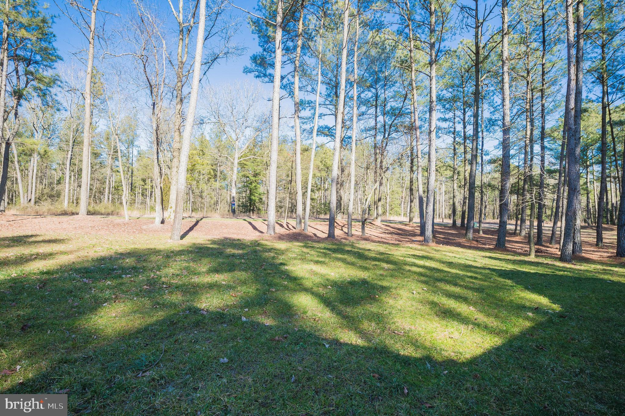 7151 Meadow Bridge Road Princess Anne, MD 21853 - Photo 42 of 42