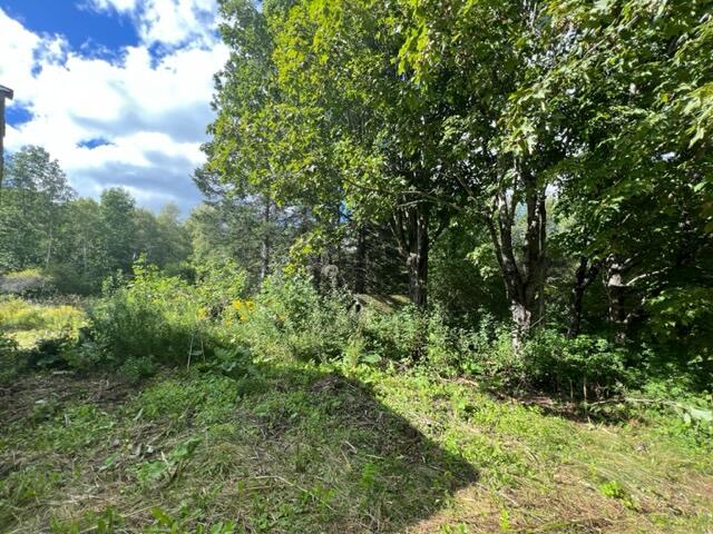 296 Us Route Amity, ME 04471 - Photo 22 of 43 image18