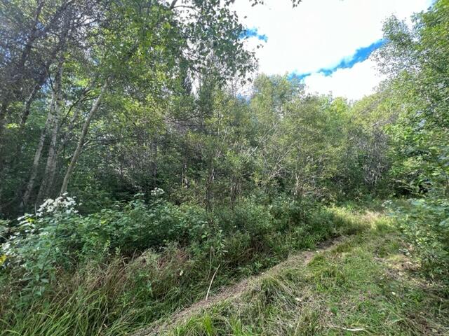 296 Us Route Amity, ME 04471 - Photo 23 of 43 image21