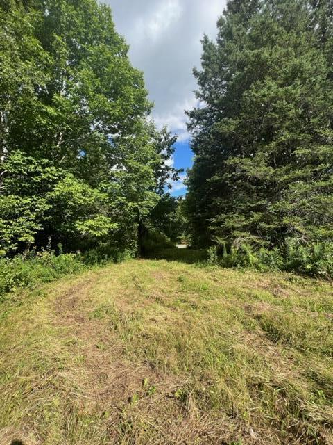 296 Us Route Amity, ME 04471 - Photo 24 of 43 image23