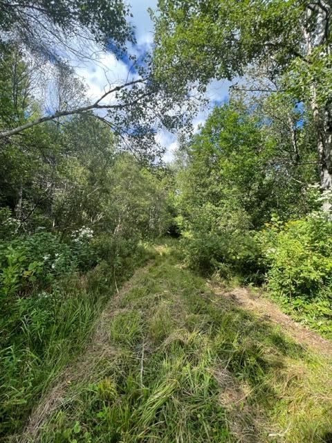 296 Us Route Amity, ME 04471 - Photo 25 of 43 image22