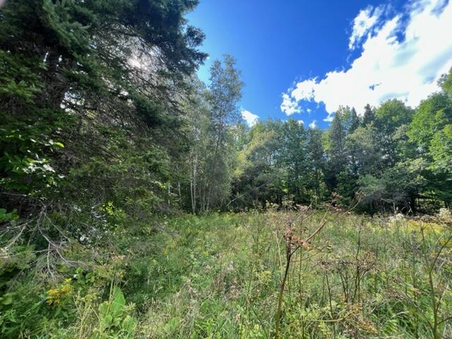 296 Us Route Amity, ME 04471 - Photo 26 of 43 image27