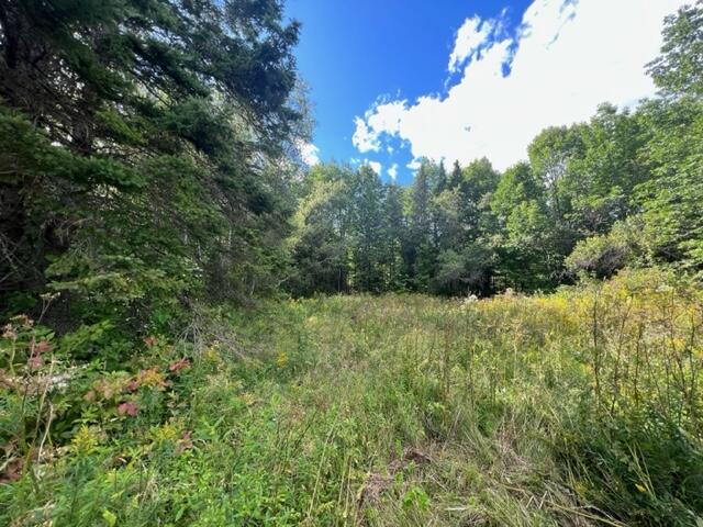 296 Us Route Amity, ME 04471 - Photo 28 of 43 image28