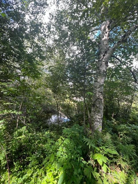 296 Us Route Amity, ME 04471 - Photo 32 of 43 image32