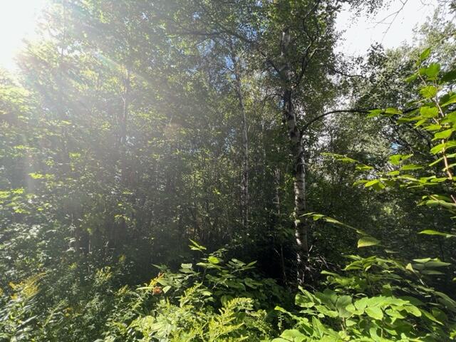 296 Us Route Amity, ME 04471 - Photo 34 of 43 image33