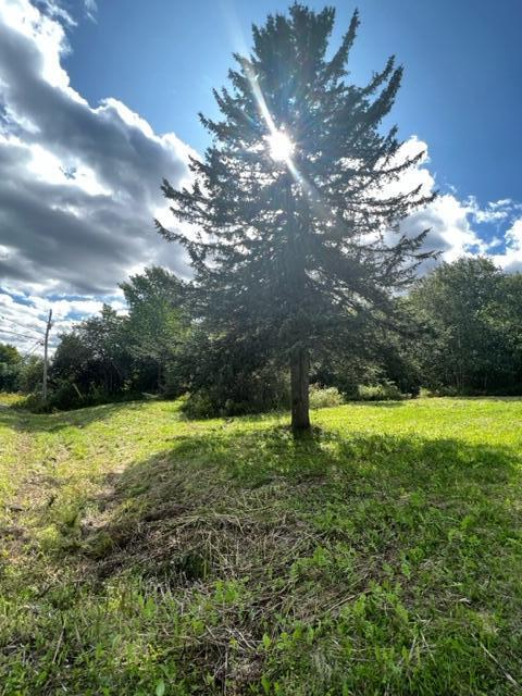 296 Us Route Amity, ME 04471 - Photo 36 of 43 image43