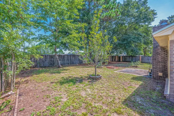 a view of a backyard with a tree