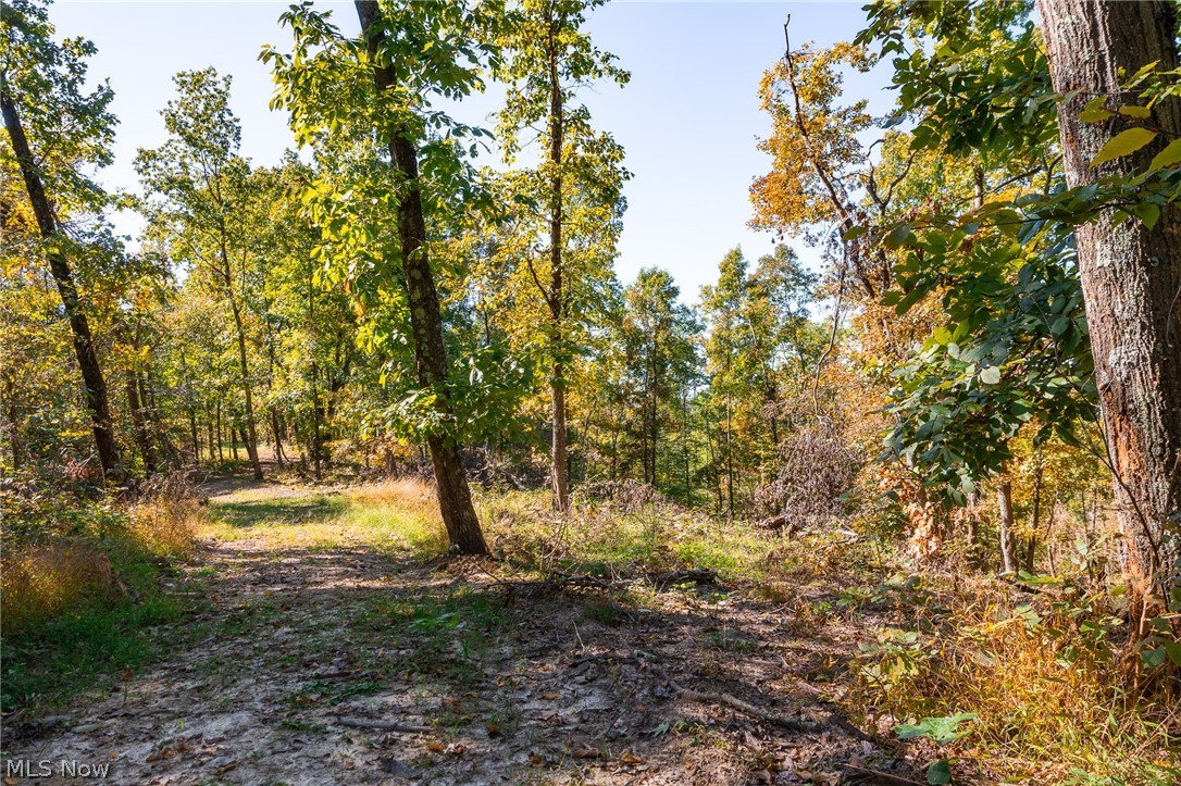 Keithtown Road Caldwell, OH 43724 - Photo 21 of 49 Gallery Image 21