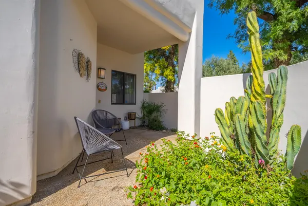 a view of two chairs in a backyard