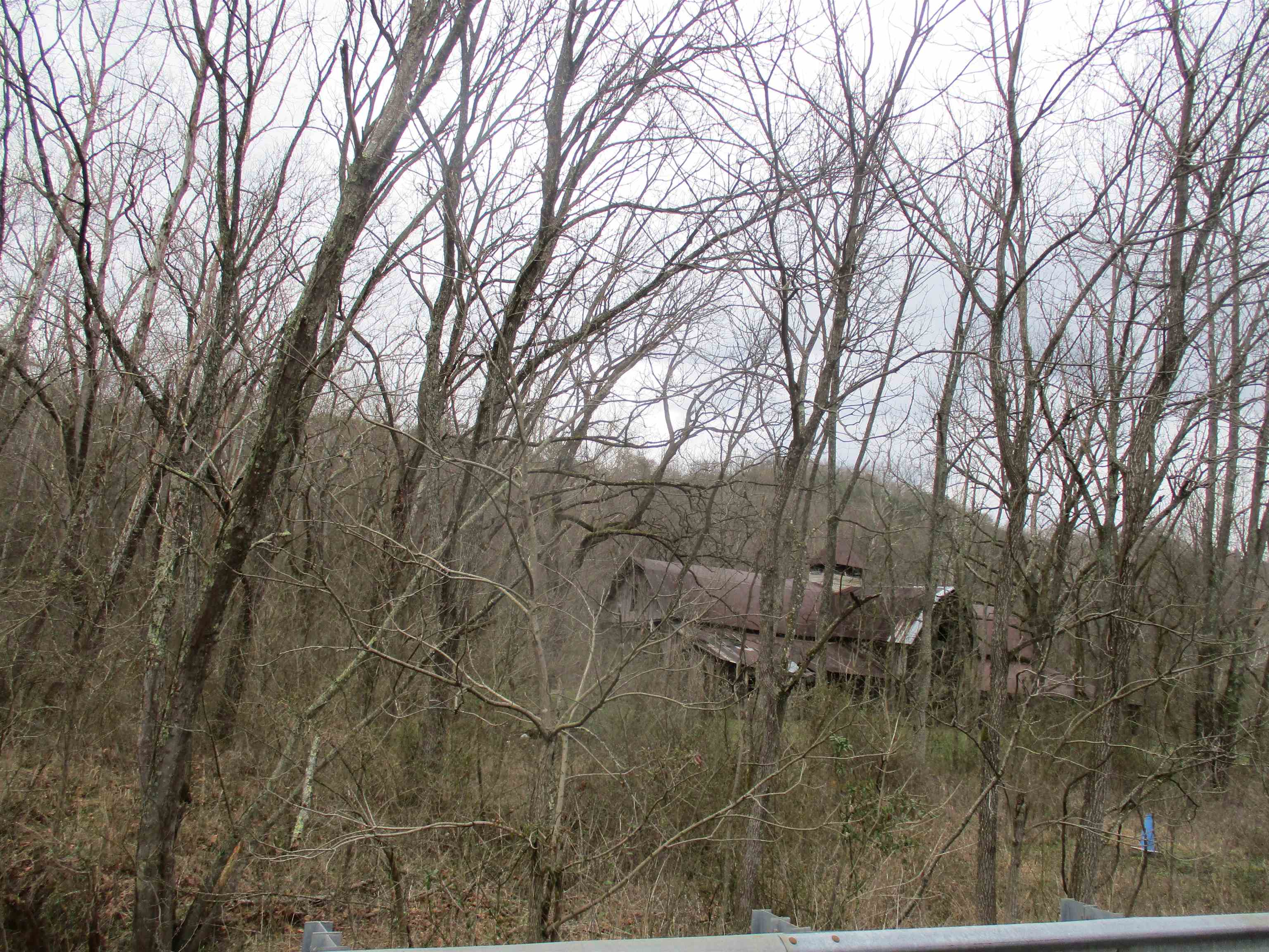 0 State Rt 207 Argillite, KY 41121 - Photo 4 of 4