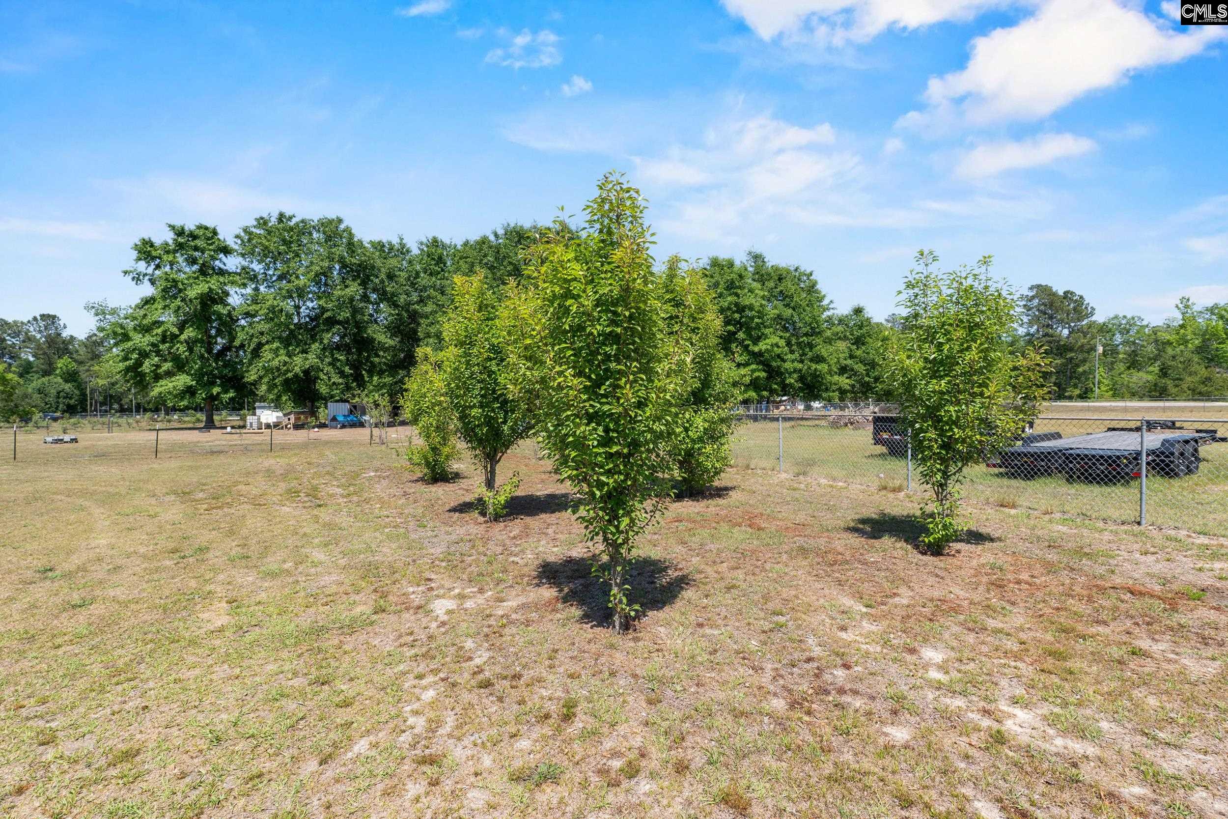1633 Shillings Bridge Road Orangeburg, SC 29115 - Photo 38 of 43
