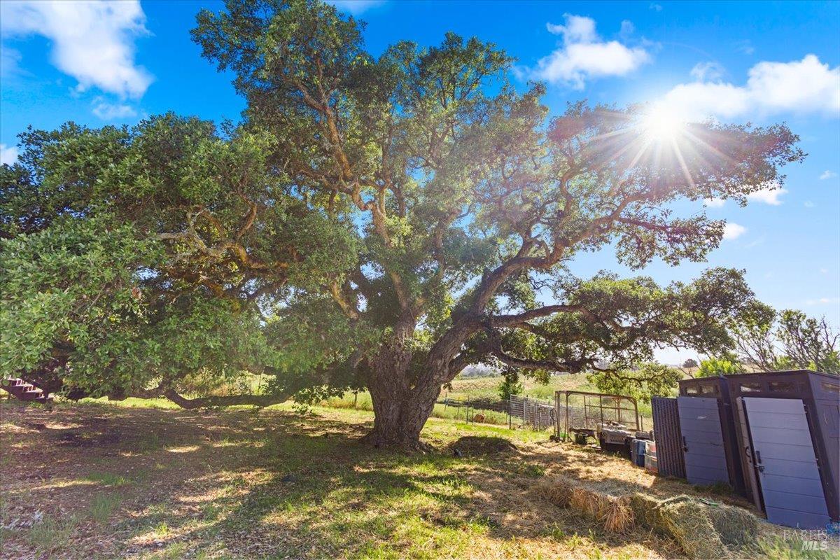 2315 Mountain Ranch Road Petaluma, CA 94954 - Photo 68 of 89