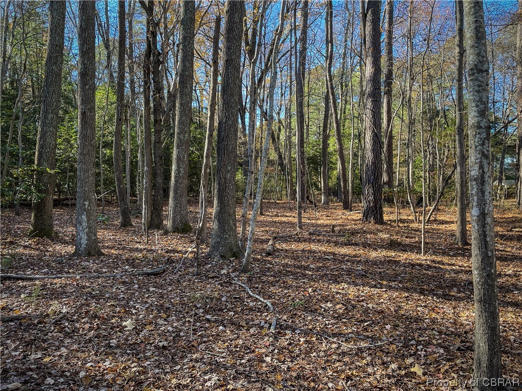 0 Kent Point Road Kilmarnock, VA 22482 - Photo 2 of 2