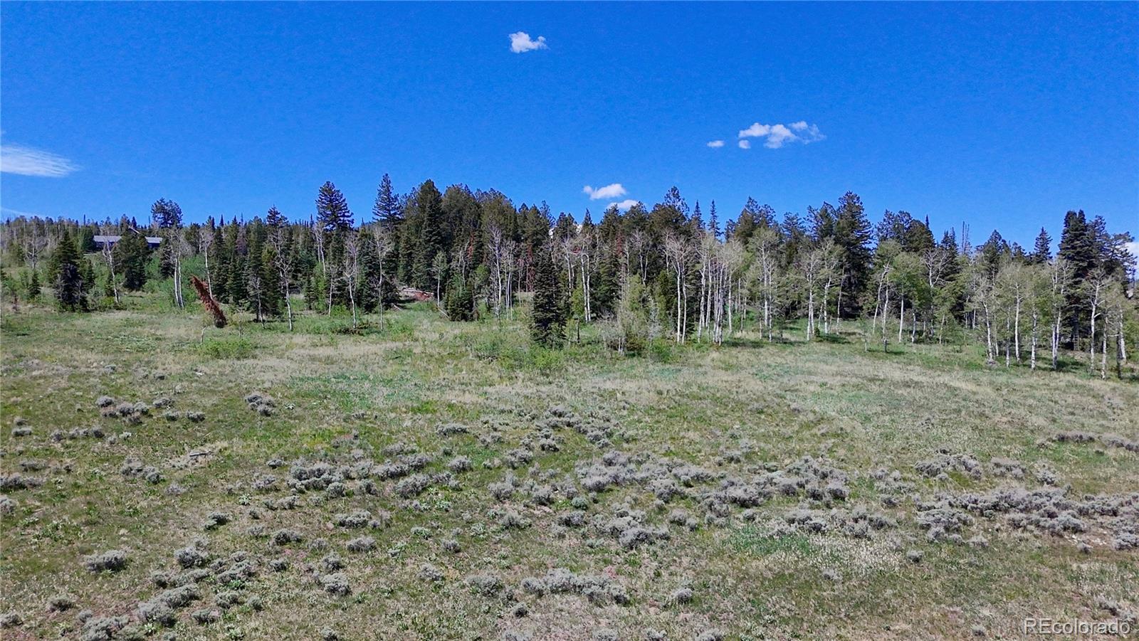 Spring Creek Ranch Road Silverthorne, CO 80498 - Photo 32 of 38