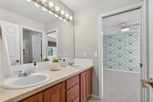 a view of a backyard with potted plants and large trees